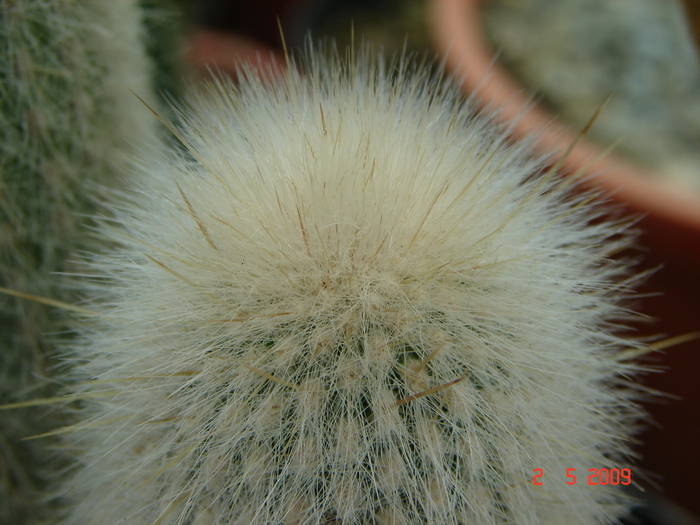 DSC05473