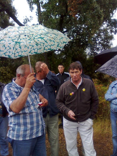 Imagine1382 - ApiMondia