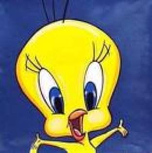 photo - tweety