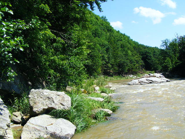 DSCF2461