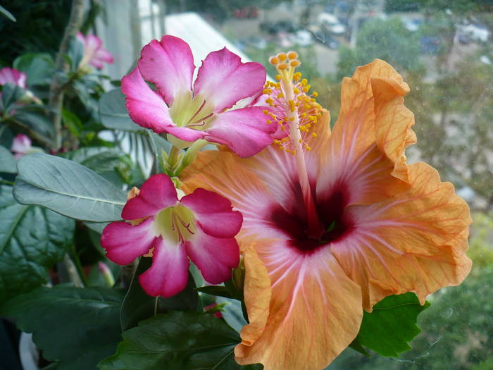 P1140083
