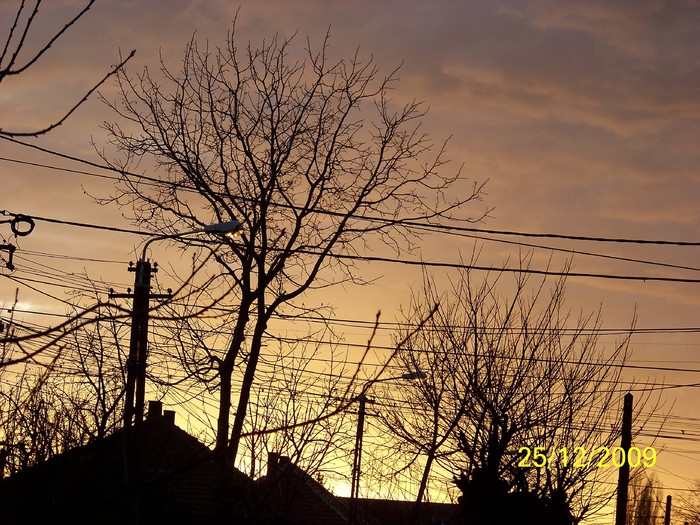 100_7887 - Sfarsit de decembrie 2009