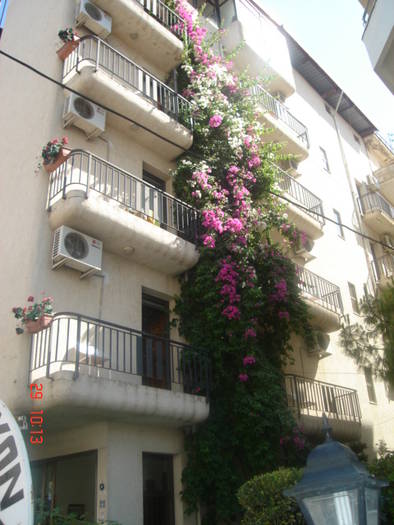 Picture Nokia 096 - 2007 TURCIA KUSADASI