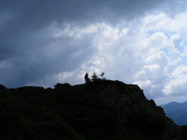 DSCF3047