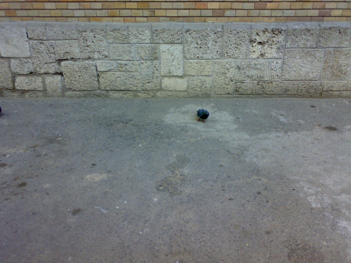 160220091796 - 18a Constanta 1