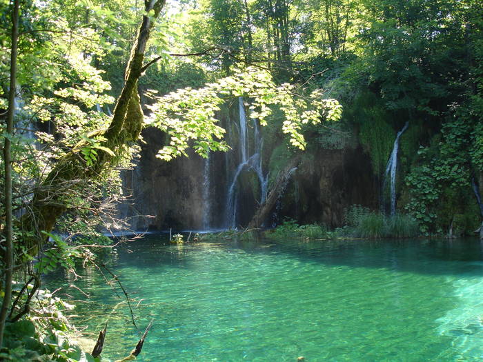 DSC03695 - Parcul Plitvice din Croatia