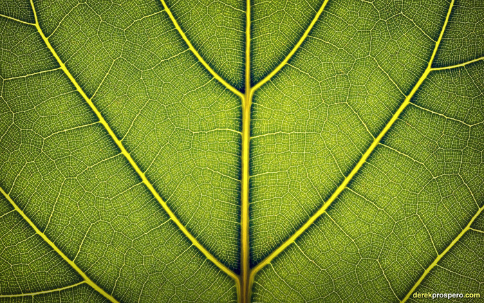 1822_looseleaf_1440x900