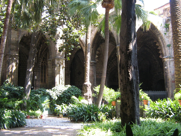 52 Catedral de Barcelona - Barcelona 2009