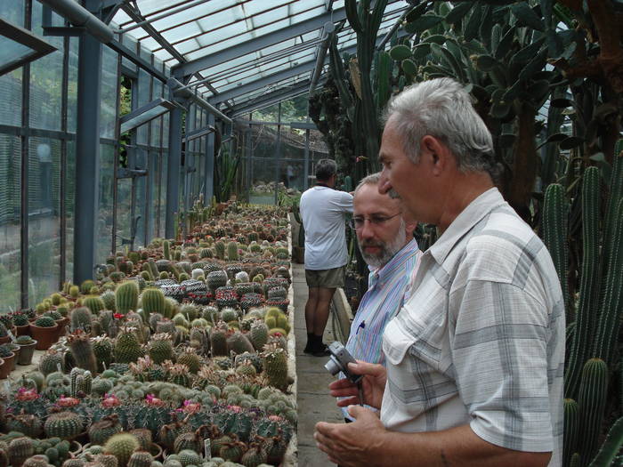 DSC09389 - Colectionari