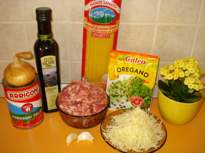 INGREDIENTE PENTRU SPAGHETE