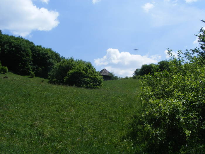DSCF1069