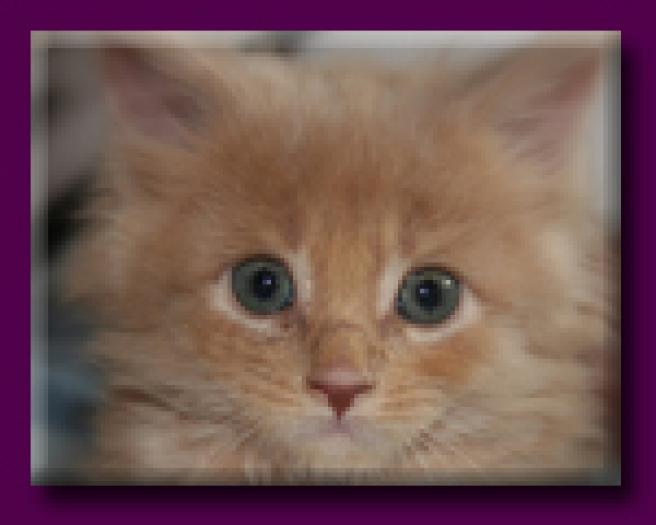 ti-a-trecut-supararea_t