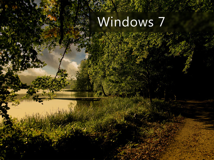 windows 7 (66)
