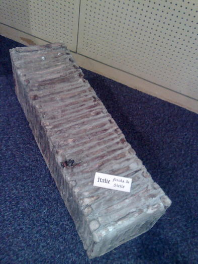 Imagine1085 - ApiMondia