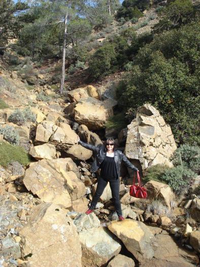 Picture 679; Muntii Troodos
