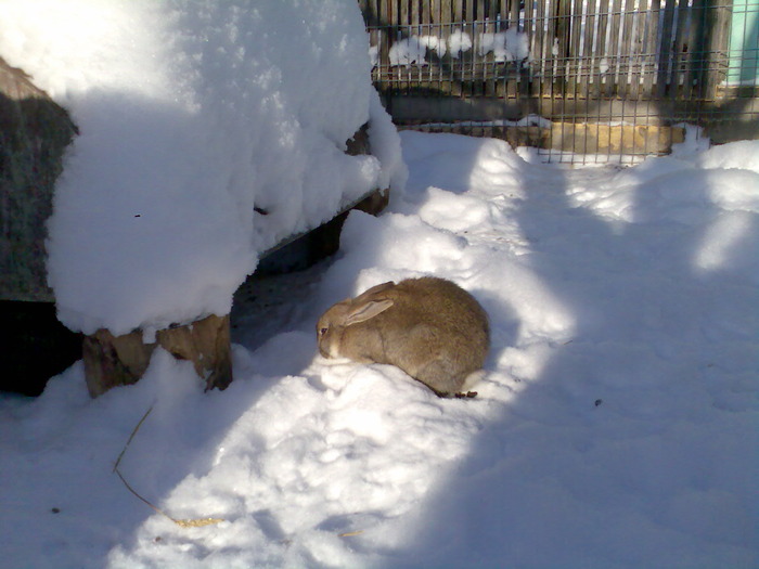 Imag162; vrea sa se ascunda
