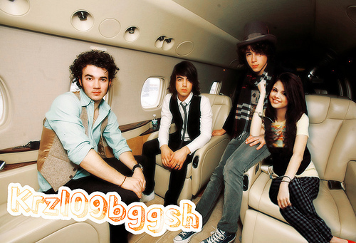 Nelena-3-selena-gomez-8193203-500-341