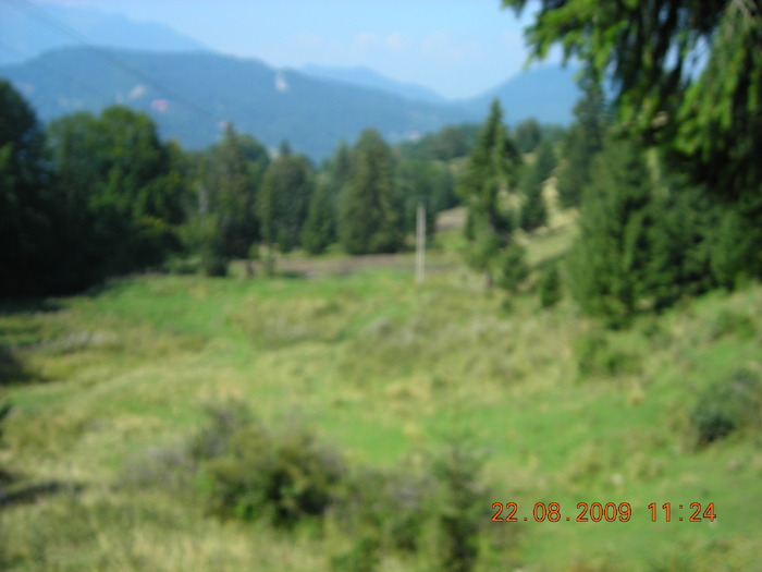 DSCN9247 - Sinaia 23 08 2009