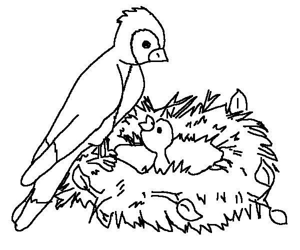 08 - imagini de colorat