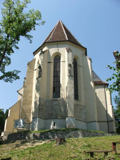 DSCF0893 - sighisoara