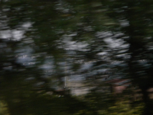 DSCN1591
