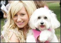 UUESZVXTRMGXWLDEKKQ - PoZe AsHeLy TiSdAlE