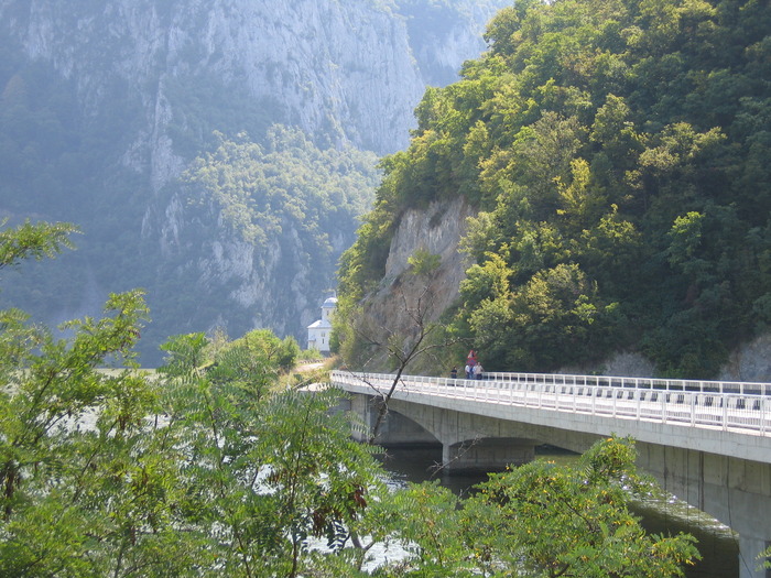 IMG_0432 - papusi de colectie