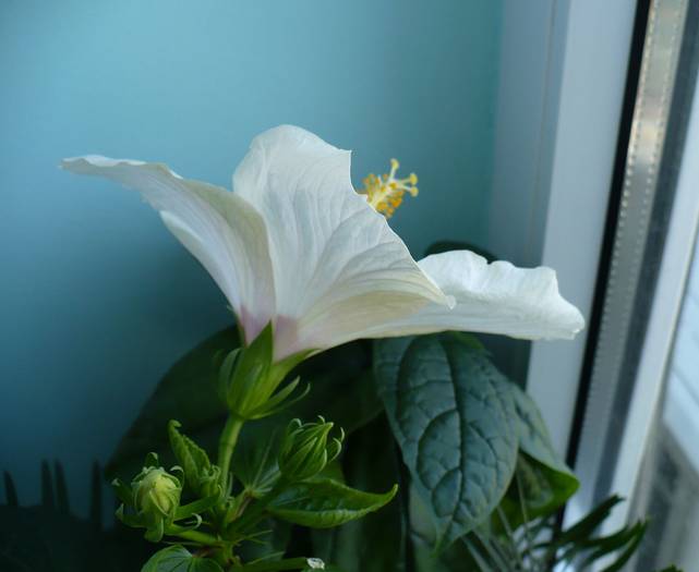 P1110410