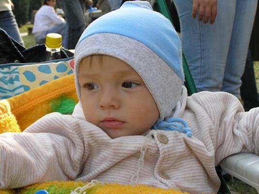 Picture 028