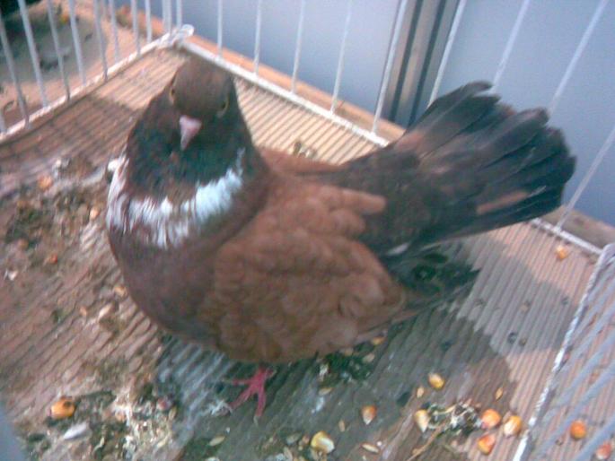 orb ts left - 1502 partea 3