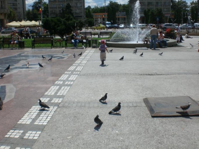 IASI 377