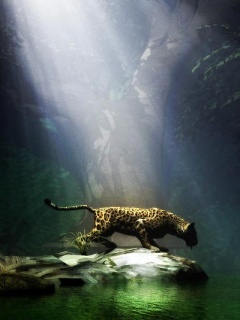 7894531 - Mobile Wallpapers