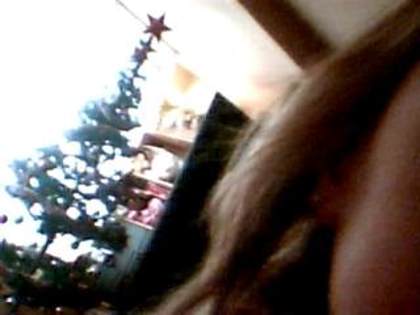 Picture 1258 - daalina