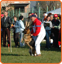 thumb_36-1 - CAINI- pisici-DIVERSE