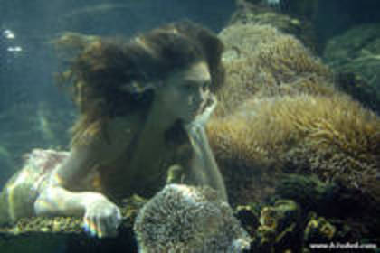 PXBGMMXYCXYEPAUZFSN - H2O