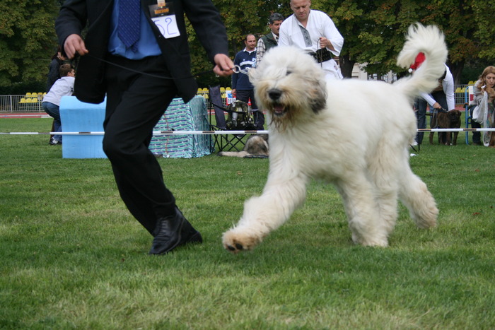 expo bucuresti 2008 051