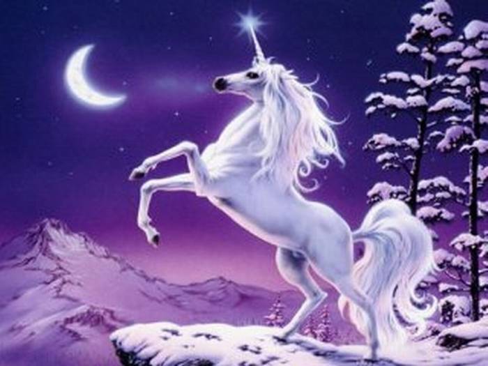 unicorn - Poze minunate