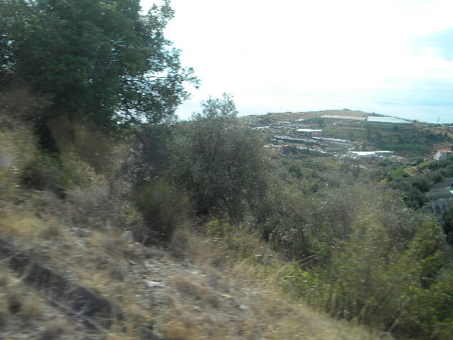 DSCN2513