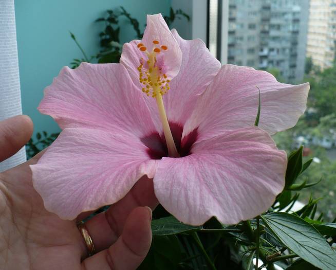 P1130333