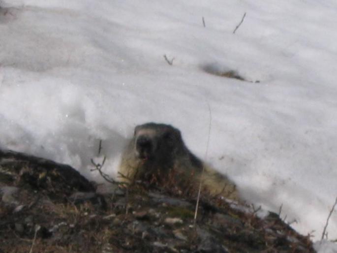 Resize of Picture 088