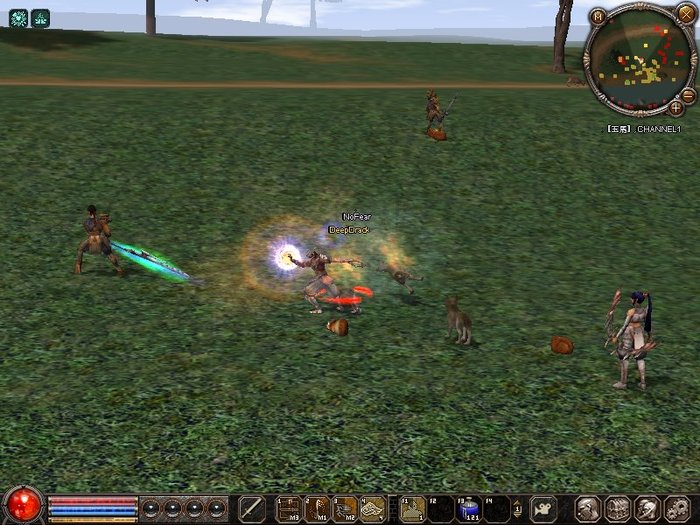 1205_204433 - metin 35 pserver poze noi