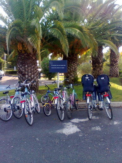 vehiculele directorului si angajatilor hotel - ApiMondia