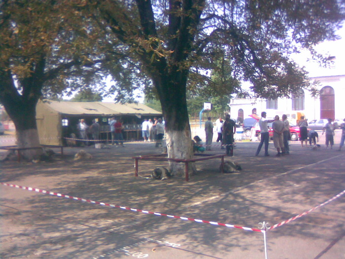 Imag003