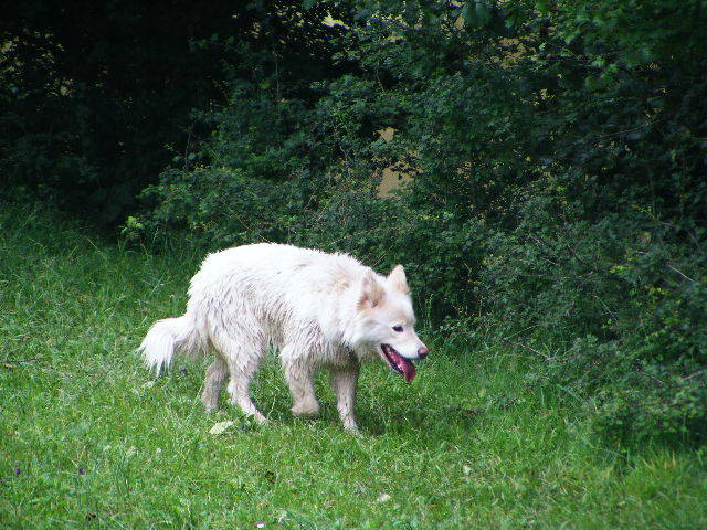 DSCF2598