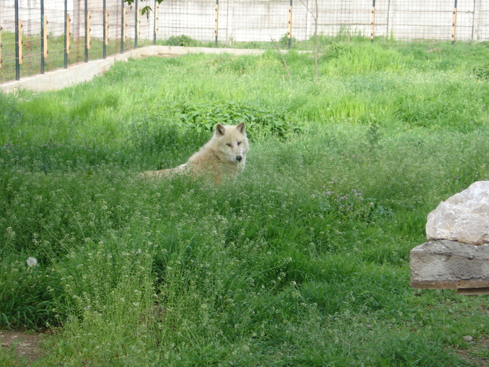 Picture 110