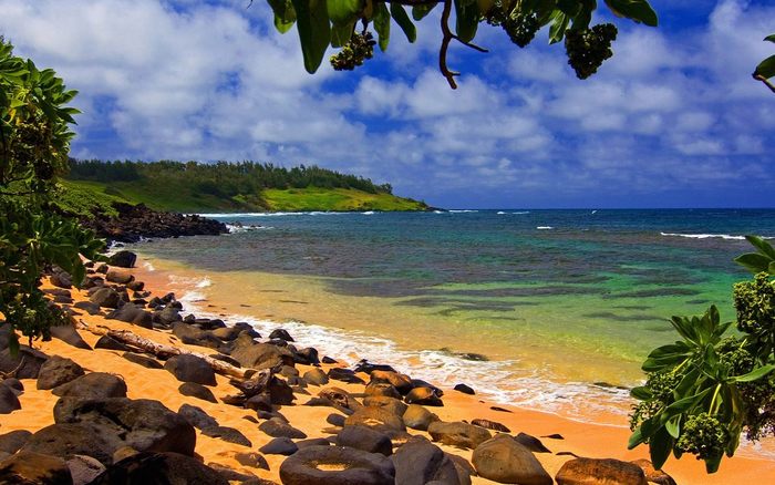 Beach-Shade-Moloaa-Kauai-Hawaii - 171 - Nature Wallpapers