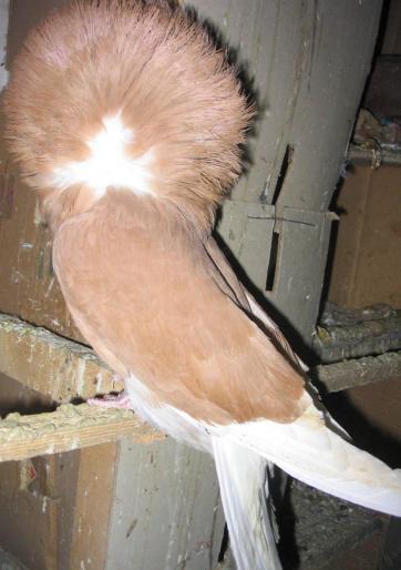 ZSQHVATFNFHQXLFZHYU