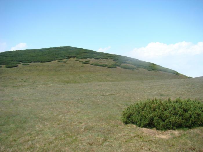 DSC01923 - Concediu 2008