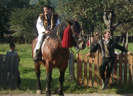 Picture 210