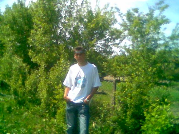 mage059 - vara_anului_2007